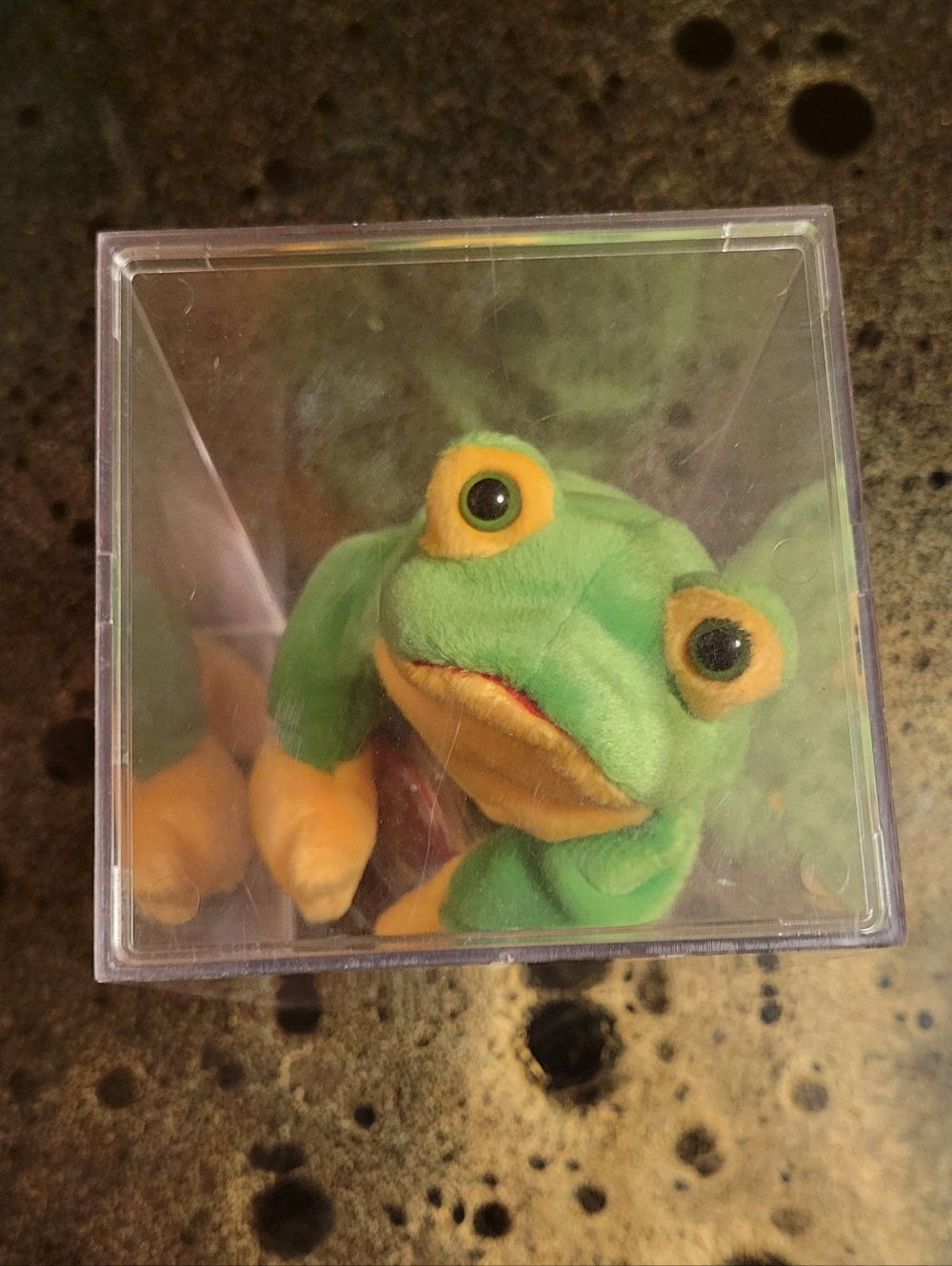 Ty Beanie Babie Green and Yellow Smoochy Frog With Tag Protector & Display Case